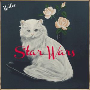 Star_Wars_Wilco