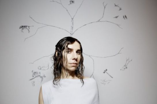 PJ-Harvey_SftDS