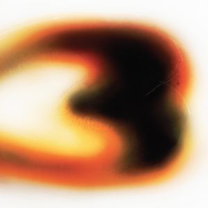 STILL HOUSE PLANTS_FRONT_SftDS